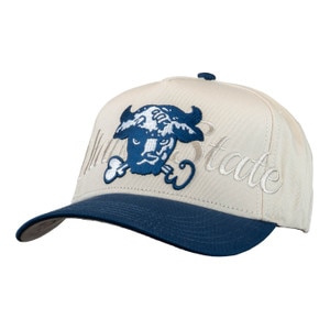 Utah state retro embroidered aggie bull unisex cap?resizeid=2&resizeh=300&resizew=300